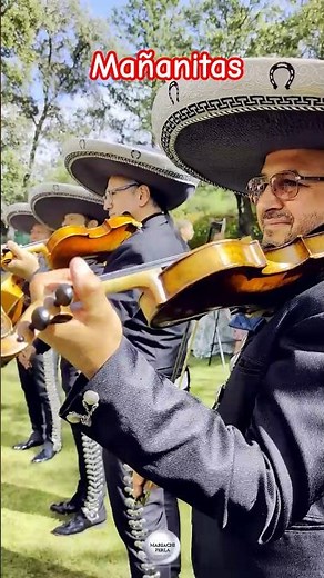 Las Mañanitas 01 Cumpleaños #mariachi #musica #rancheras
