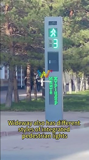 Have you seen this kind of integrated smart pedestrian light?