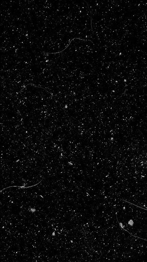 Black Background With Scratch And Dust Screen Overlay #overlay #background #film #grunge #black