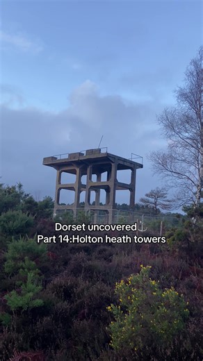 Exploring Holton Heath Towers in Dorset's History