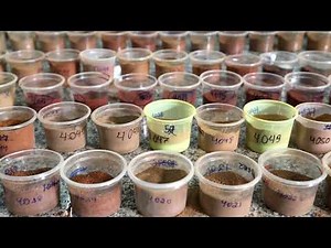 Soils4Africa: Introduction (2022 update)