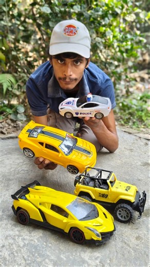 Remote Control Cars
