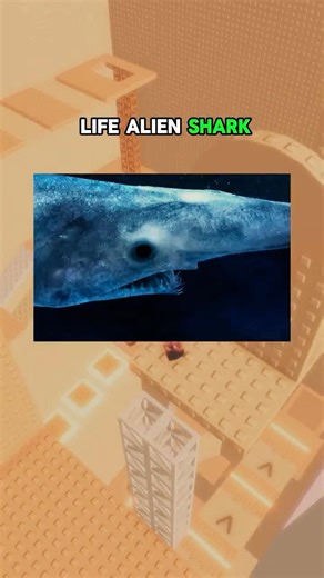 The Craziest Discoveries Ever Found at the Bottom of the Ocean 😳🌊