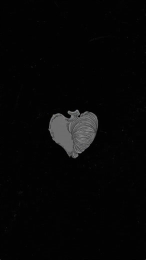 El Fetra الفطرة OUT NOW! Written & composed by Maryam Saleh Arranged by Maryam Saleh & Maurice Louca Produced by Maryam Saleh, Maurice Louca & El Waili Creative & Executive Production: Sarah El Miniawy & May Mostafa (Simsara Music) Mentoring & Artistic Accompaniment (writing, composition & vocals): Kamilya Jubran (Zamkana) Vocals: Maryam Saleh Keys: Maurice Louca Cello: Zizi Ibrahim Drums: Dylan Hunter Chee Greene Percussions: Joss Turnbull Bass: Mahmoud Waly Mixed by: Mokhtar El Sayeh Mastered 