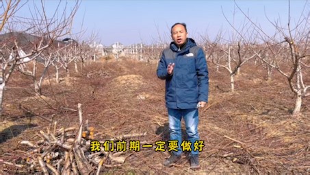 密植栽培后果很严重！