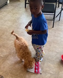 31K views · 643 reactions | The Lion of Judah on Reels | Facebook