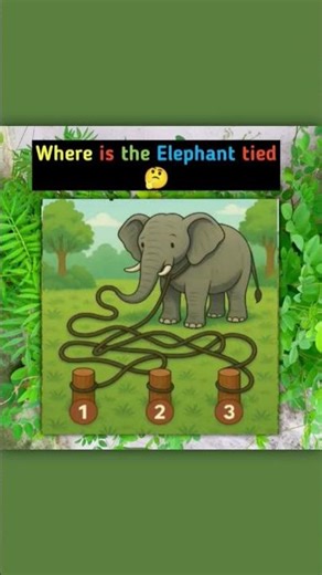 Comment your answer NOW! 🚀" #comment #answer #thinking #this #happy #edit