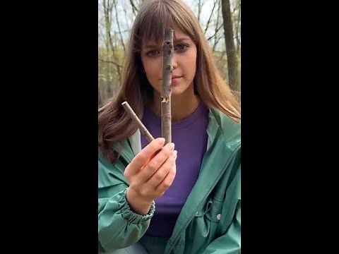 Outdoor camping essentials by a Brave Girl