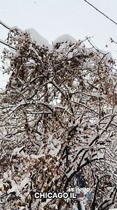 LA TORMENTA DE NIEVE EN CHICAGO IL🇺🇸❄️❄️❄️⛄️⛄️⛄️ se está cayendo el cielo, y las sirenas 🚨 de las ambulancias 🚑 no dejan de sonar 🥶🥶 | Israel Israel