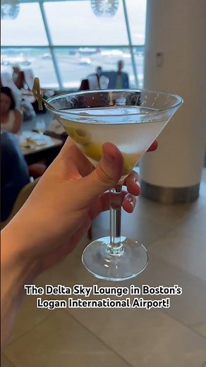 The Delta Sky Lounge in Boston’s Logan International Airport!
