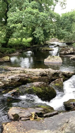 9K views · 481 reactions | River Tavy at Creason woods on Wednesday Dartmoor, Devon. | Rachel Burch Westcountry Photography | Facebook