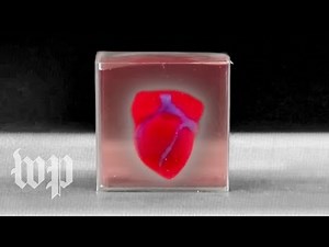 Researchers create 3-D printed heart using patient's cells