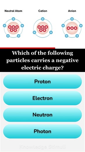 Which of the following particles carries a negative electric charge?