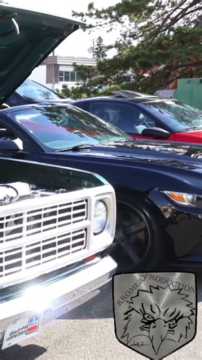 Green Dodge stepside ￼