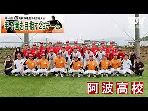 甲子園目指す29チーム 阿波高校 2023年全国高校野球選手権徳島大会
