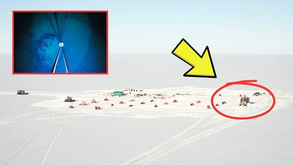 Scientists Accidentally Discover Strange Creatures Under a Half Mile of Ice
