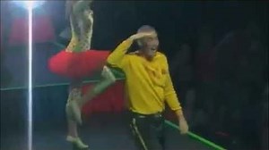The Wiggles Final Celebration Show