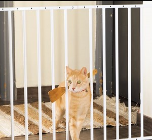 17K views · 55 reactions | Cat Care Secrets: Easy Hacks for a Purrfect Life! | 5-Minute Crafts Play | Facebook