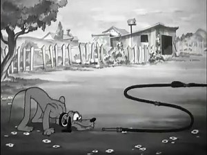 Mickey Mouse, Pluto - Playful Pluto  (1934)