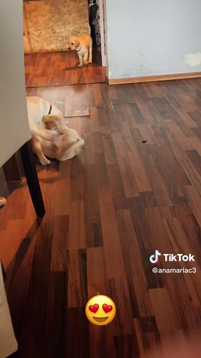 Ana Maria C on TikTok