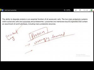 Protein L3 - Degradation of Protein by Lysosomes