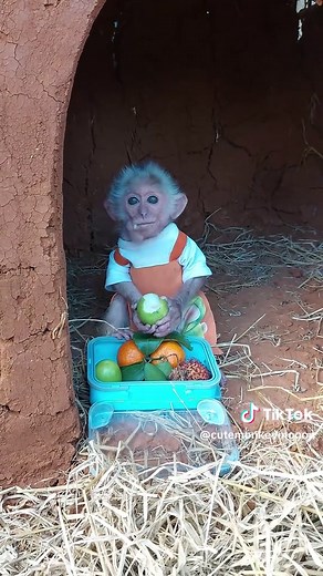 Baby monkey Moon returns to the earthen house. #monkey #babymonkey #cutemonkey #cuteanimal #monkeydluffy #monkeysoftiktok #usa_tiktok #usa🇺🇸