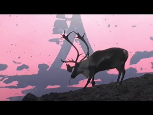 BROADHEADS THAT KILL