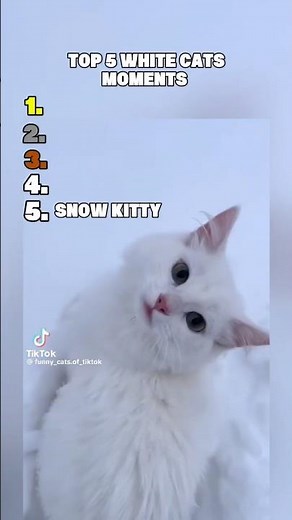 🐾 Top 5 Most Beautiful White Cats 😻✨ | Stay till the end for the cutest one!