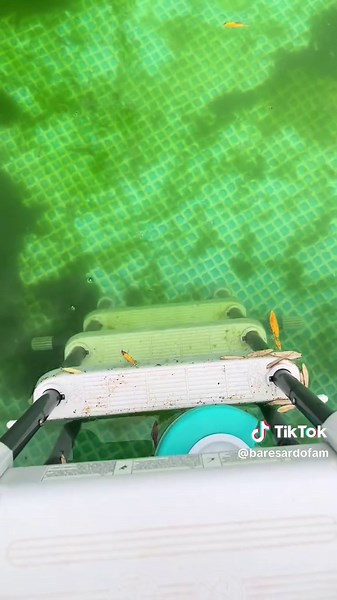 Conseils pratiques pour entretenir votre piscine hors sol