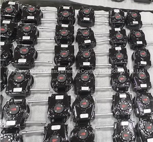 [Hot Item] Xhw25 Valve Operator