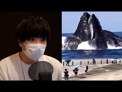 This collection of overseas YouTube Shorts is full of crazy footage and is interesting.