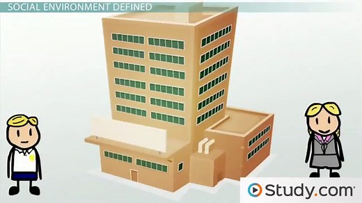 Social Environment of a Business | Definition, Effects & Examples