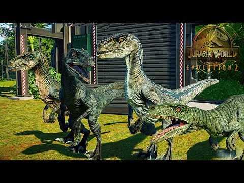 BLUE Y VELOCIRAPTOR DE JURASSIC WORLD! los dinosaurios velociraptores Jurassic World Evolution 2