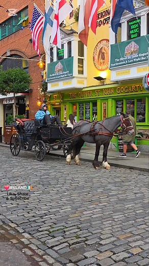 Oliver St. John Gogarty Dublin ❤️🚌🎠🐴🐎🚍🇮🇪 #verulobange #highlightsシ゚ #travel #Ireland | Verulo Bange