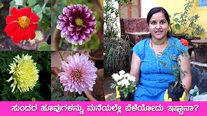 Here is a tour vlog of Sneha's Garden. She has also give a demonstration on how to grow flowers in pots. Watch the video for more details. If you like our content then please like our video and comment your thoughts in the comment section. And don't forget to subscribe to our channel and like our Facebook Page | Mr & Mrs Kamath