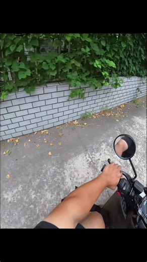 Drive away the vicious dog.#fyp #foryou #foryoupage #dog #funny | stop dog attack