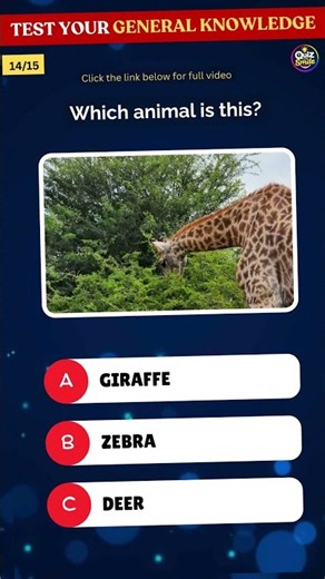 General Knowledge Quiz Game | guess all GK questions #quizwithsmile #gamequiz