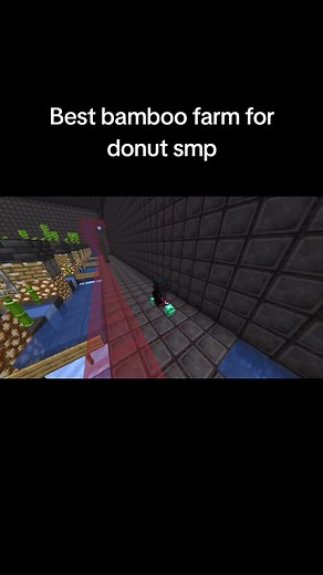 Easiest Bamboo Farm Design for Donut SMP