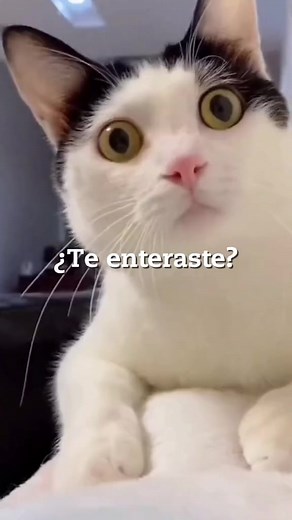 Matrícula 2025 en Trilce: ¡Aprovecha ahora!