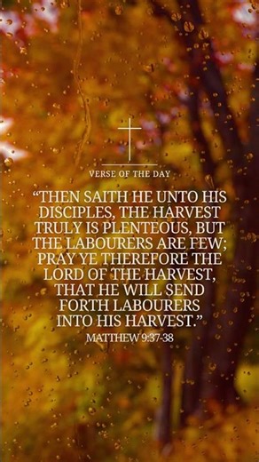 Laboring For The Kingdom 👑 #Jesus #Bible #verseoftheday #explore