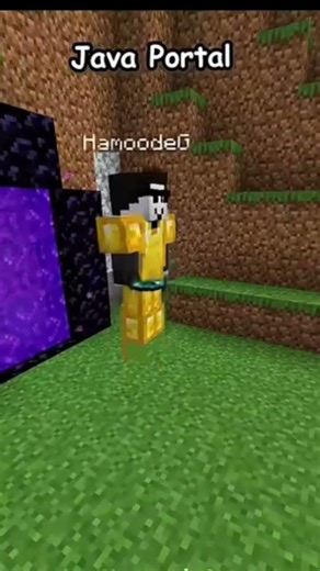 Minecraft java vs bedrock portal💀......