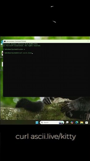 "CMD Tricks to Make a Kitty 😺| Super Fun Command Prompt Hacks!"#cmdtricks #techshorts #commandprompt
