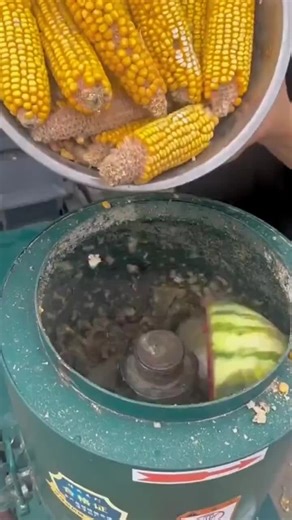 Precision Feed Pellet Mills for Consistent Output