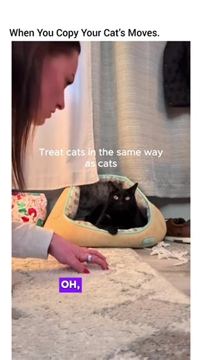 Understanding Rage Baiting in Cats: What You Need to Know