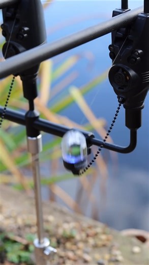 100K views · 382 reactions |  Fish Smarter, Travel Lighter – Meet...