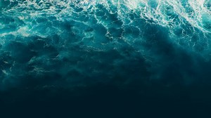 Gratitude Revealed - Apple TV