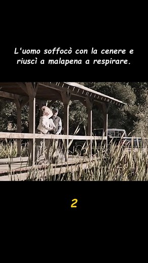 poss.movie su TikTok