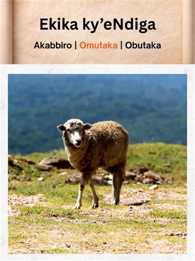 Understanding Ndiga Clan Heritage and Identity