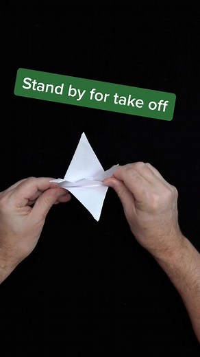 How to Make a Flapping Origami Bird
