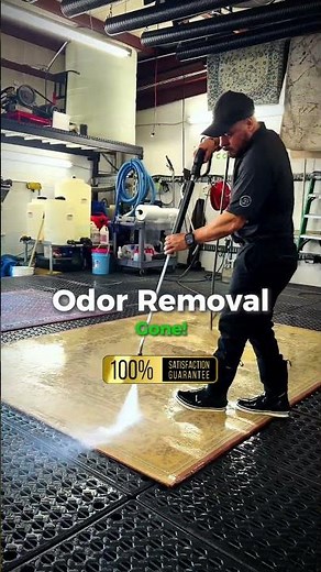 Rug Odor Removal Guaranteed